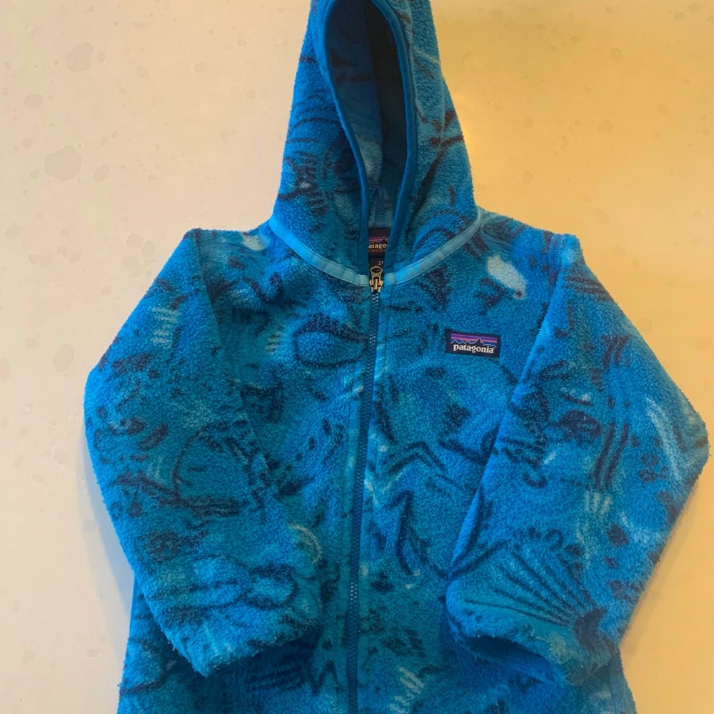 Patagonia Synchilla Toddler Jacket 2T
